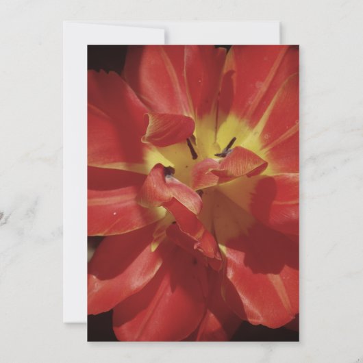 Elegante bruiloft uitnodiging tulp bloem (Achterkant)