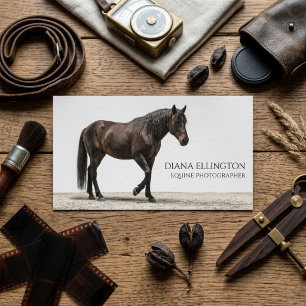 Elegante Bruine Paard Paarden Fotograaf Bedrijf Visitekaartje