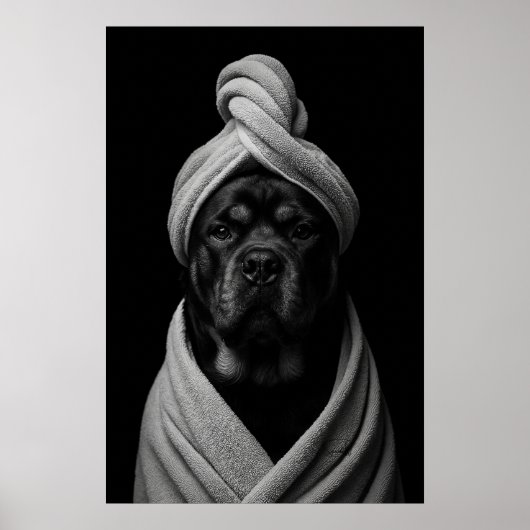Elegante Canine Art of "Duke" in handdoek tulband Poster (Voorkant)