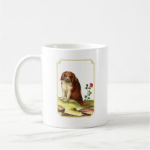 Elegante  Cavalier King Charles Spaniel