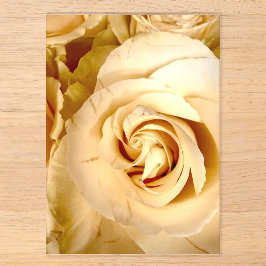 Elegante Champagner Roze Macro Acryl Uitnodiging