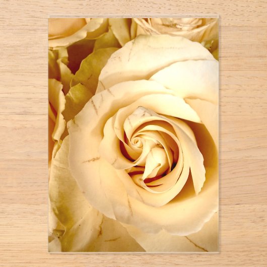 Elegante Champagner Roze Macro Acryl Uitnodiging (Voorkant)