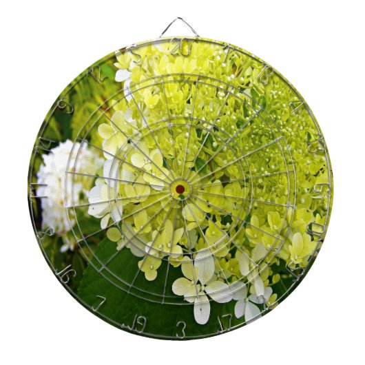 Elegante Chartreuse Groen Limelight Hortensia Dartbord (Voorkant)