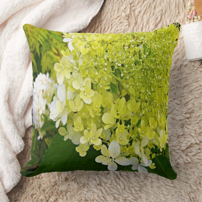 Elegante Chartreuse Groen Limelight Hortensia Kussen (Deken)