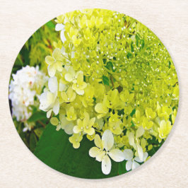Elegante Chartreuse Groen Limelight Hortensia Ronde Kartonnen Onderzetter