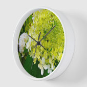 Elegante Chartreuse Groene Limelight Hortensia (Hoek)