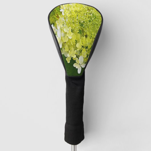 Elegante Chartreuse Groene Limelight Hortensia Golfheadcover (Voorkant)