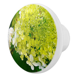 Elegante Chartreuse Groene Limelight Hortensia Keramische Knop