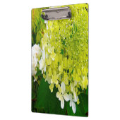 Elegante Chartreuse Groene Limelight Hortensia Klembord (Links)