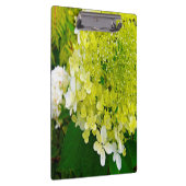 Elegante Chartreuse Groene Limelight Hortensia Klembord (Rechts)