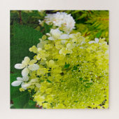 Elegante Chartreuse Groene Limelight Hortensia Legpuzzel (Horizontaal)