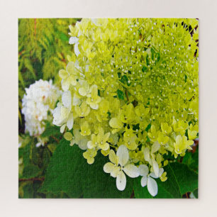 Elegante Chartreuse Groene Limelight Hortensia Legpuzzel