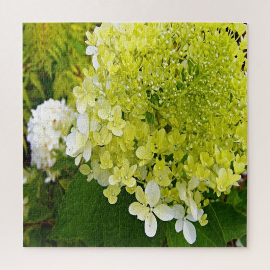 Elegante Chartreuse Groene Limelight Hortensia Legpuzzel (Verticaal)