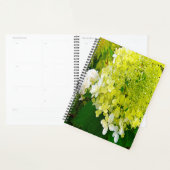 Elegante Chartreuse Groene Limelight Hortensia Planner (Display)