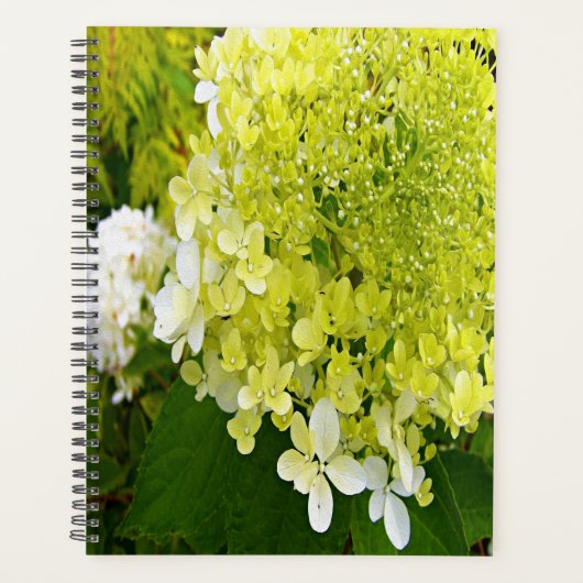 Elegante Chartreuse Groene Limelight Hortensia Planner (Voorkant)