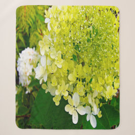 Elegante Chartreuse Groene Limelight Hortensia Sherpa Deken