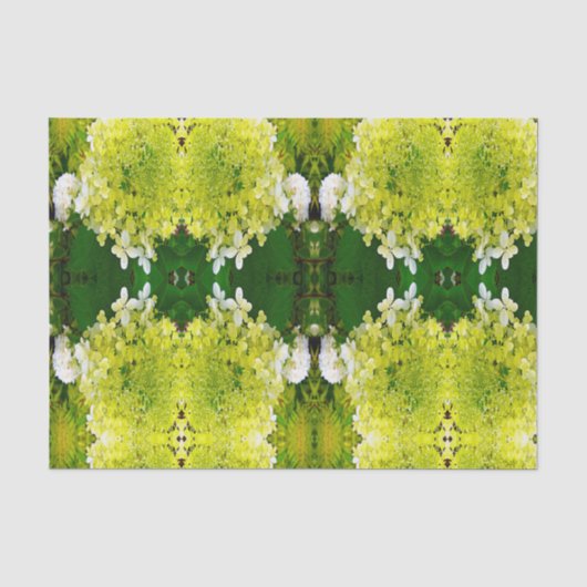 Elegante Chartreuse Groene Limelight Hortensia Tissuepapier (Voorkant)