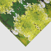 Elegante Chartreuse Groene Limelight Hortensia Tissuepapier (Detail)