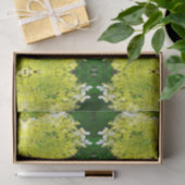 Elegante Chartreuse Groene Limelight Hortensia Tissuepapier (Geschenk)