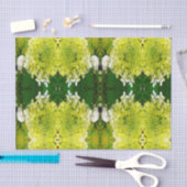 Elegante Chartreuse Groene Limelight Hortensia Tissuepapier (Craft)