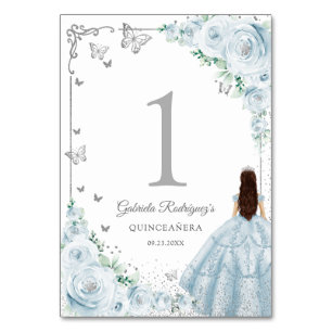 Elegante Chic Baby Blue Rozen Zilver Quinceanera Kaart