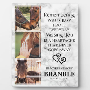 Elegante chique paard herdenkingsfoto collage plaq fotoplaat