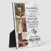 Elegante chique paard-herdenkingsfoto-collageplaqu fotoplaat (Zijkant)