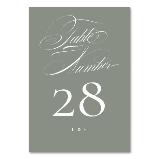 Elegante Classic Grijs op Witte Kalligrafie Trouwe Kaart (Achterkant)