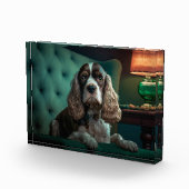 Elegante Cocker Spaniel Klassiek Portretontwerp Fotoblokken (Rechts)