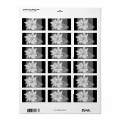 Elegante Conch Shell Beach Zwart-wit Adres Etiket (Full Sheet)