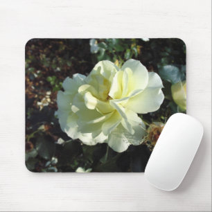 Elegante Crème Witte Roos Bloemfotografie Muismat