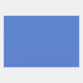 Elegante CSA cadeauverpakkingen Inpakpapier Vel (Voorkant 3)