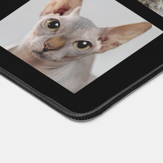 Elegante Custom Cat foto's op zwart Bureaumat (Hoek)