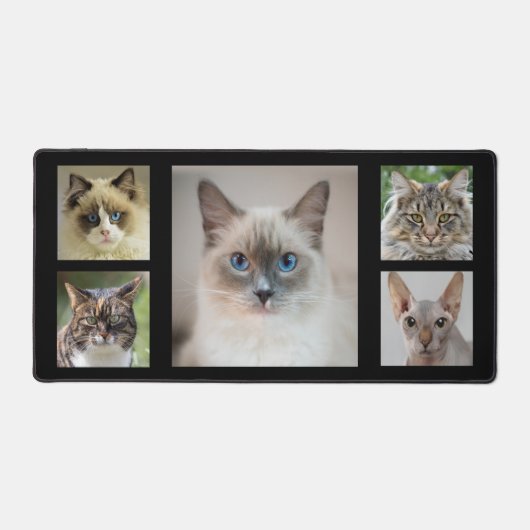 Elegante Custom Cat foto's op zwart Bureaumat (Voorkant)