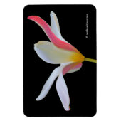Elegante Dame Tulp Witte Roze Bloemen Magneet (Verticaal)