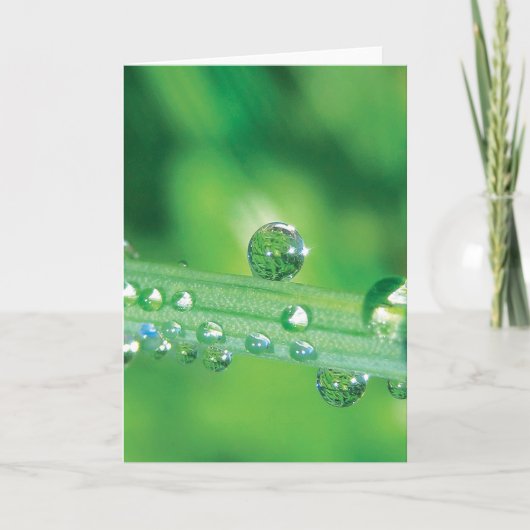 Elegante dauw drop note Kaart met gedicht (Voorkant)