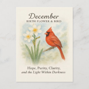 Elegante december Bijbeltekst christelijke kardina Briefkaart