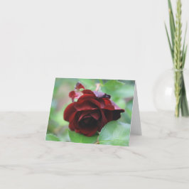 Elegante Deep Red Rose Note Kaart