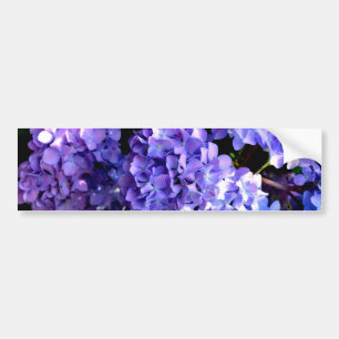 Elegante diep paarse bloemen hortensia bumpersticker