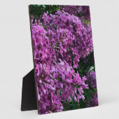 Elegante diep paarse magenta bloemen lilacs fotoplaat (Zijkant)
