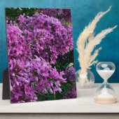 Elegante diep paarse magenta bloemen lilacs fotoplaat (Zijkant)