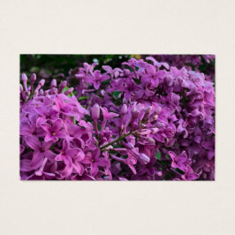 Elegante diep paarse magenta bloemen lilacs visitekaartje