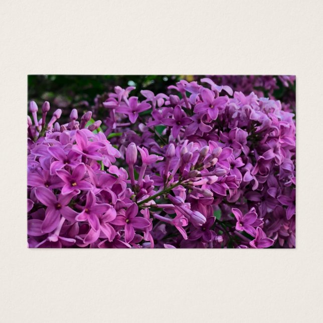 Elegante diep paarse magenta bloemen lilacs visitekaartje (Voorkant)