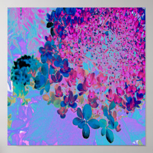 Elegante donkerblauwe en magenta Limelight Hydrang Poster