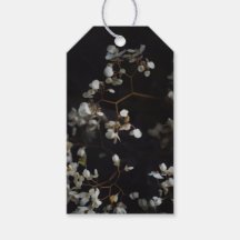 Elegante donkere bloem