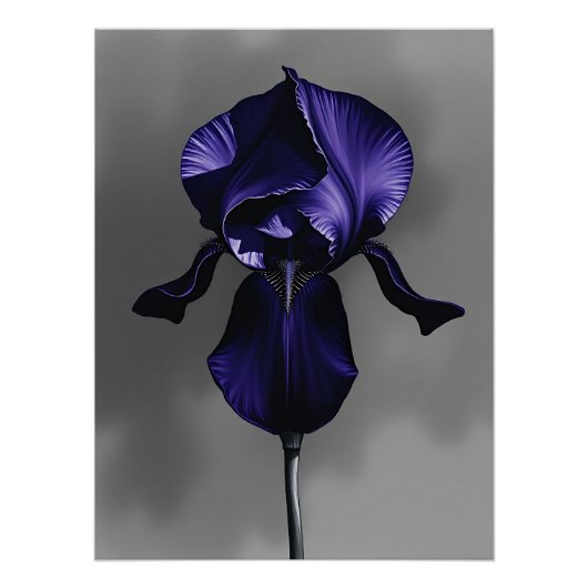 Elegante donkere iris met rokerig grijs perfect poster (Voorkant)
