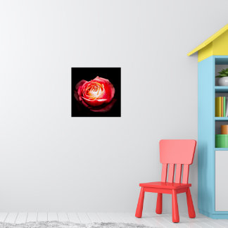 Elegante Donkere Stemming Rode Roos Poster