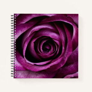 Elegante donkerpaarse roos notitieboek