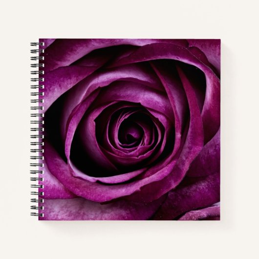 Elegante donkerpaarse roos notitieboek (Voorkant)