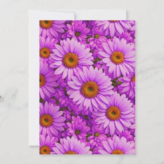 Elegante donkerroze magenta bloemenmadeliefjes kaart (Achterkant)